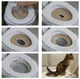 Система приучения кошек к унитазу Citi Kitty Cat Toilet Training - изображение 4