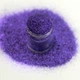 Фиолетовый металлический микро-глиттер Lecente Violet Ultra Fine Glitter (7 г) - изображение 2