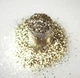 Золотий мульти-глітер Lecente Sand Multi Glitz Chunky Glitter (7 г) - зображення 2