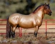 Theo traditional арденський важковоз Breyer 1843 - изображение 3
