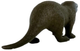 Фігурка Schleich Wild Life Eurasian Otter 2.5 см (4059433543772) - зображення 3