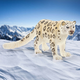 Фігурка Schleich Wild Life Snow Leopard 4.3 см (4059433027326) - зображення 4