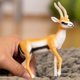 Figurka Schleich Wild Life Thomson Gazelle 9.7 cm (4059433543765) - obraz 4