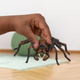 Фігурка Schleich Wizarding World Aragog 4 см (4059433713175) - зображення 4