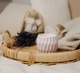 Аромасвеча RELAX KAKI LAVENDER 100% WOOD WAX 240g 50h Гранд Презент NAC 1097 - изображение 2