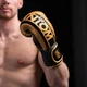 Боксерські рукавички Phantom APEX Elastic Gold 14oz (PHBG2215-14) - зображення 7