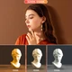 Лампа жезл с дефлектором для селфи Ring Light Stick RGB студийный свет для блогеров и фотографов 50 см - изображение 8
