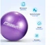 Мяч для пилатеса, фитнеса и йоги EasyFit EF-1221 25 см Фиолетовый (56002956) - изображение 5