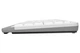 Клавиатура A4Tech fk11 usb White - изображение 5