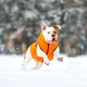 Курточка для животных Airy Vest двусторонняя S 30 оранжево-салатовая (1609) - изображение 6