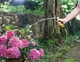 Шланг Karcher Performance plus 2.645-318.0 - изображение 2