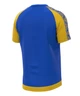 Волейбольная футболка мужская RIGO ADAMANT Blue-Yellow S - изображение 3