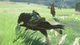 Гра консольна Switch The Legend of Zelda: Breath of the Wild, картридж - изображение 3