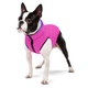 Курточка для животных Airy Vest двусторонняя XS 30 фиолетово-розовая (1590) - изображение 2