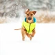 Курточка для животных Airy Vest двусторонняя L 55 салатово-голубая (1633) - изображение 7