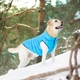 Курточка для животных Airy Vest двусторонняя L 55 салатово-голубая (1633) - изображение 9
