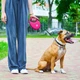 Повідок для собак WAUDOG R-leash з контейнером для пакетів S до 12 кг 3 м рожевий (26277) - зображення 6
