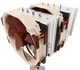 Кулер для процессора Noctua NH-D15 - изображение 3