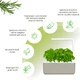 Розумний сад - гідропонна установка для рослин Click&Grow Smart Garden 3 (7212 SG3) - изображение 12