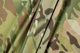 Тканина для спецодягу Kord 4Wstretch Multicam 1 пог. м - зображення 6