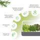 Розумний сад - гідропонна установка для рослин Click&Grow Smart Garden 9 (8899 SG9) - изображение 12