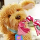 Інтерактивна іграшка My Fuzzy Friends Лабрадудель Moji українська та англійська мова (18207-UKR-ENG) - зображення 6