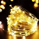 USB Гирлянда Роса, 10м, 100 Led, пульт 8 режимов, теплый белый свет (888000) - изображение 1