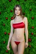 Комплект женский топ и мини-стринги из микрофибры Felisiya Lingerie Красный 2002+273-101а001 XL - изображение 1