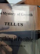 Ваза книга для цветов прозрачная из акрила "The Mystery of growth" БРАК, несколько мелких царапин, потертостей - изображение 9