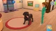 Ключ активации Animal Hospital для Xbox One/Series S/X - изображение 2