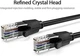 Интернет кабель Vention Cat6 UTP Ethernet сетевой шнур патч-корд 1000Mpbs 250MHz 8 м Black (YM1634) - изображение 2