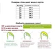 Кросівки для хлопчиків APAWWA RC14-141/23 Білі 23 - зображення 5