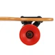 Лонгборд Бордволкинг Boardwalking из канадского клена SP-Sport SK-907 (SK-907) - изображение 4