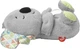 Интерактивная Коала Фишер-Прайс Fisher-Price Soothe ‘n Snuggle Koala - изображение 2