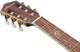 Классическая гитара Ibanez TOD10N-BKF - изображение 11