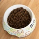 Сухой корм Brit Premium Cat Nature Sterilized Lamb для стерилизованных кошек, с ягненком, 8 кг - изображение 2