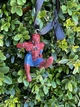 Marvel супергерої Spiderman Спайдермен підвіска полістоун оригінал 7,5/3,5/4 см - зображення 1