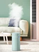 Зволожувач повітря Zhencai Humidifier SD08 з подвійною насадкою зелений - зображення 2
