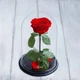 Роза в колбе с подсветкой Красный Вечная роза (SH774467) - изображение 2