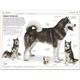 Dogs. David Alderton. ISBN:9780241558546 - изображение 3