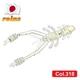 Силиконовая креветка для микроджига Reins Ring Shrimp 2" #318 Clear Pearl Silver (съедобная, 12шт) - изображение 1