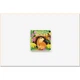 Abrams Appleseed Who Dug This Hole? (A Lift-the-Flap Book). Laura Gehl. ISBN:9781419756610 - изображение 2