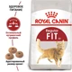 Сухой корм для кошек Royal Canin FIT 32 от 12 месяцев до 7 лет 10 кг - изображение 2