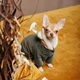 Костюм для собак Pet fashion ALF хакі XS 242997 - зображення 3