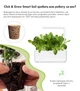 Сменный картридж Click&Grow Салат Ромен 3 шт (4742793008820) - изображение 3