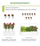 Сменный картридж Click&Grow Перец Чили 3 шт (4742793007311) - изображение 7
