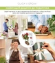 Сменный картридж Click&Grow Перец Чили 3 шт (4742793007311) - изображение 9