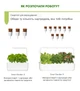 Сменный картридж Click&Grow Базилик 3 шт (4742793007199) - изображение 8