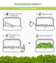 Сменный картридж Click&Grow Базилик 3 шт (4742793007199) - изображение 9