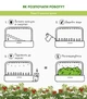 Сменный картридж Click&Grow Мини томат 3 шт (4742793007304) - изображение 9